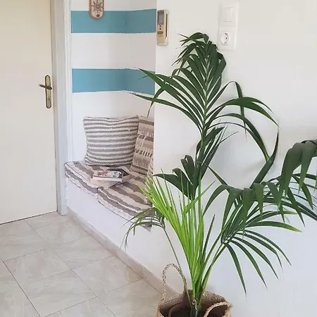 Mesogitonia House Apartment Zakros Exterior photo